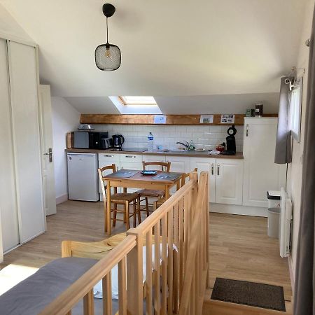 Studio Proche Orleans Centre Saint-Jean-le-Blanc المظهر الخارجي الصورة